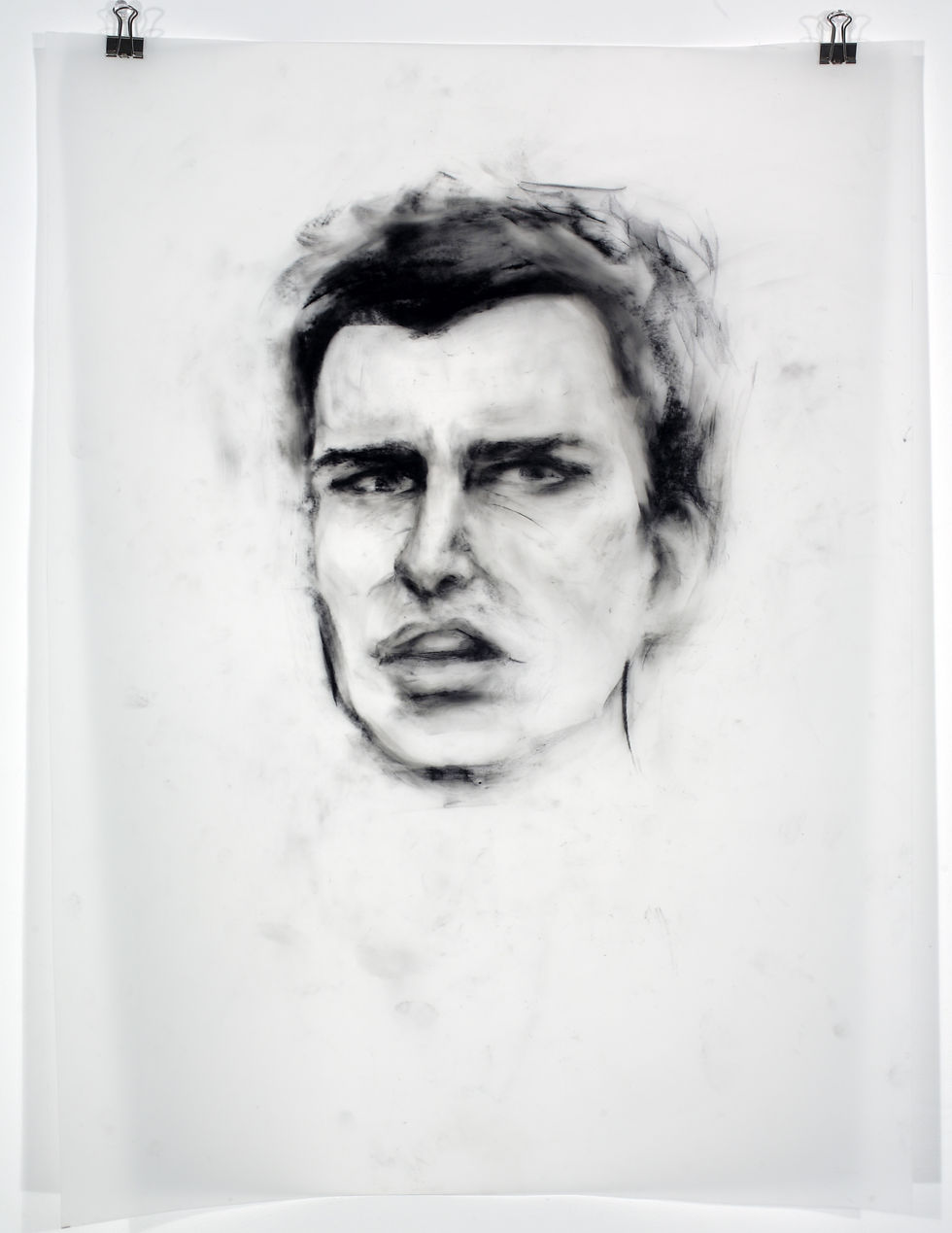 Family portraits series, 2007.