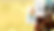 LSP_WebCover1.png