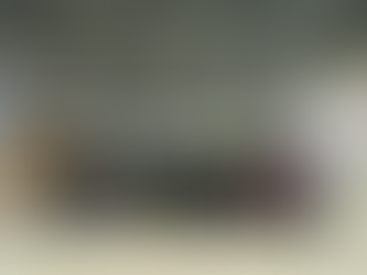 Primer Reunión Interinstitucional con el Instituto de Migración de San Luis Potosí