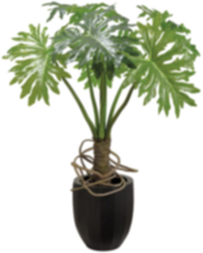 53.5"H X 32"W X 35"L Plume Split in Metal Container