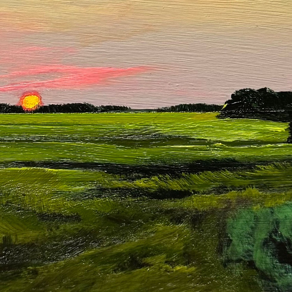 Thumbnail: Summer Radiance