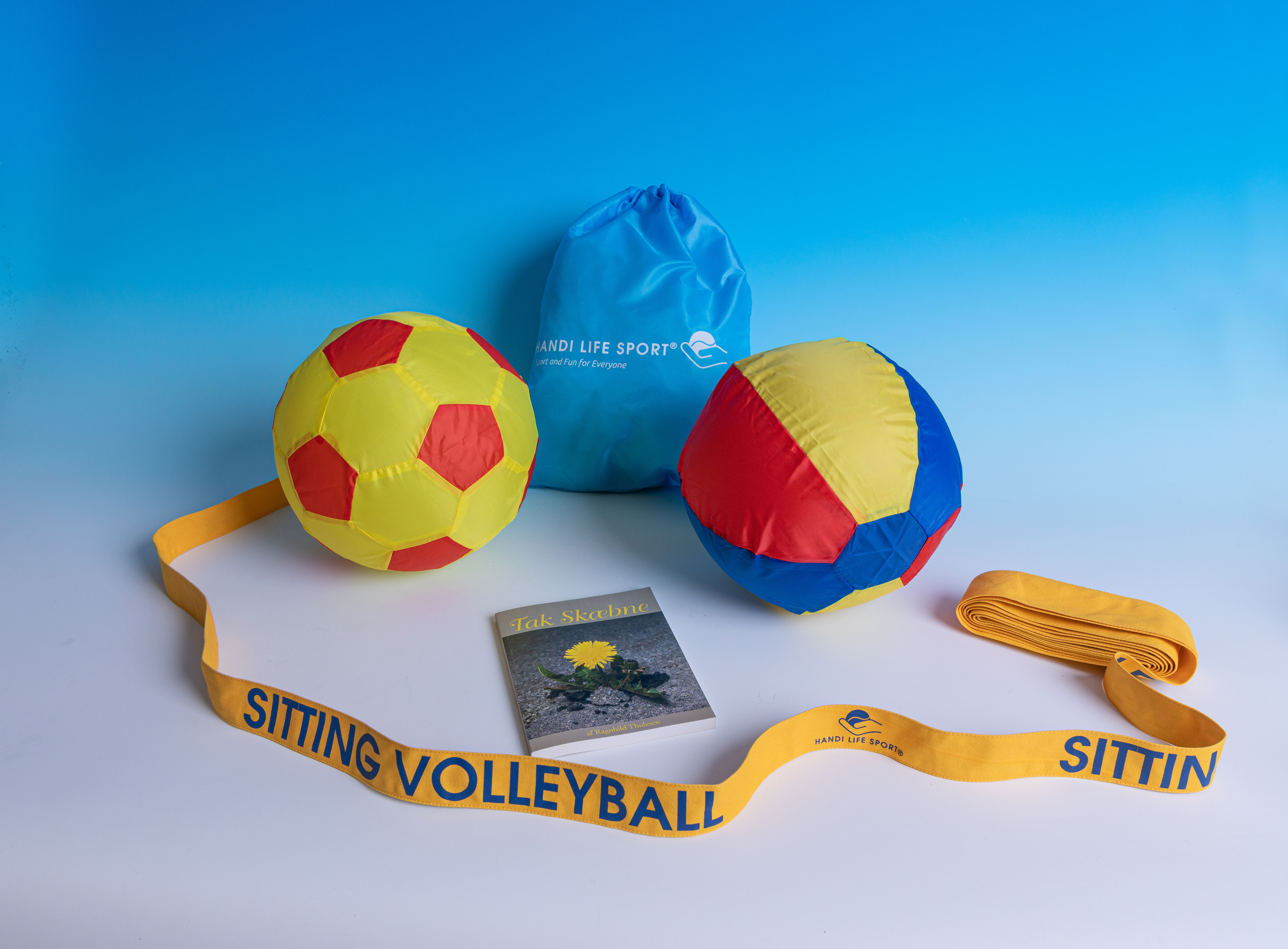 Sitting Volleyball set
