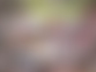 College students participate in Yuva Sadbhav