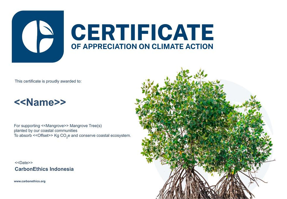 Thumbnail: 500 Mangrove Trees