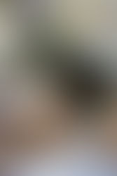 挑戰中的專業選擇：會計與記帳的價值