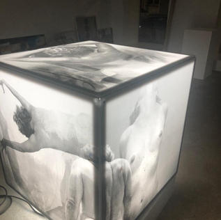 Kathi Moser