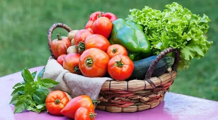 Why More Indian Families Prefer to Buy Organic Vegetables Online in 2026