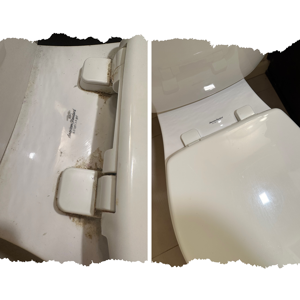 cleaning services Seatle, eco cleaning, Cleaning Marysville Lake Stevens, Cleaning Monroe, Cleaning Edmonds