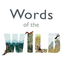 Words-of-the-Wild_FINAL-png-1536x1536.png