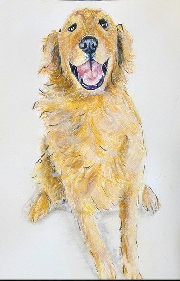 Golden Dog 11x15in Acrylics 2020 JL.jpg