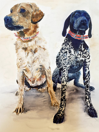 Mixed media Dog portrait by Jennifer Lude