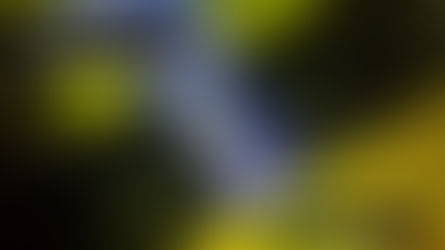 รับซ่อม Macbook อุตรดิตถ์ ลูกค้านำเครื่อง Macbook Pro A1706 มาซ่อมสายแพรแบล็คไลท์