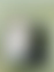 รับซ่อม iPhone ฉะเชิงเทรา ลูกค้านำเครื่อง iPhone 7 Plus มาเปลี่ยนแบต