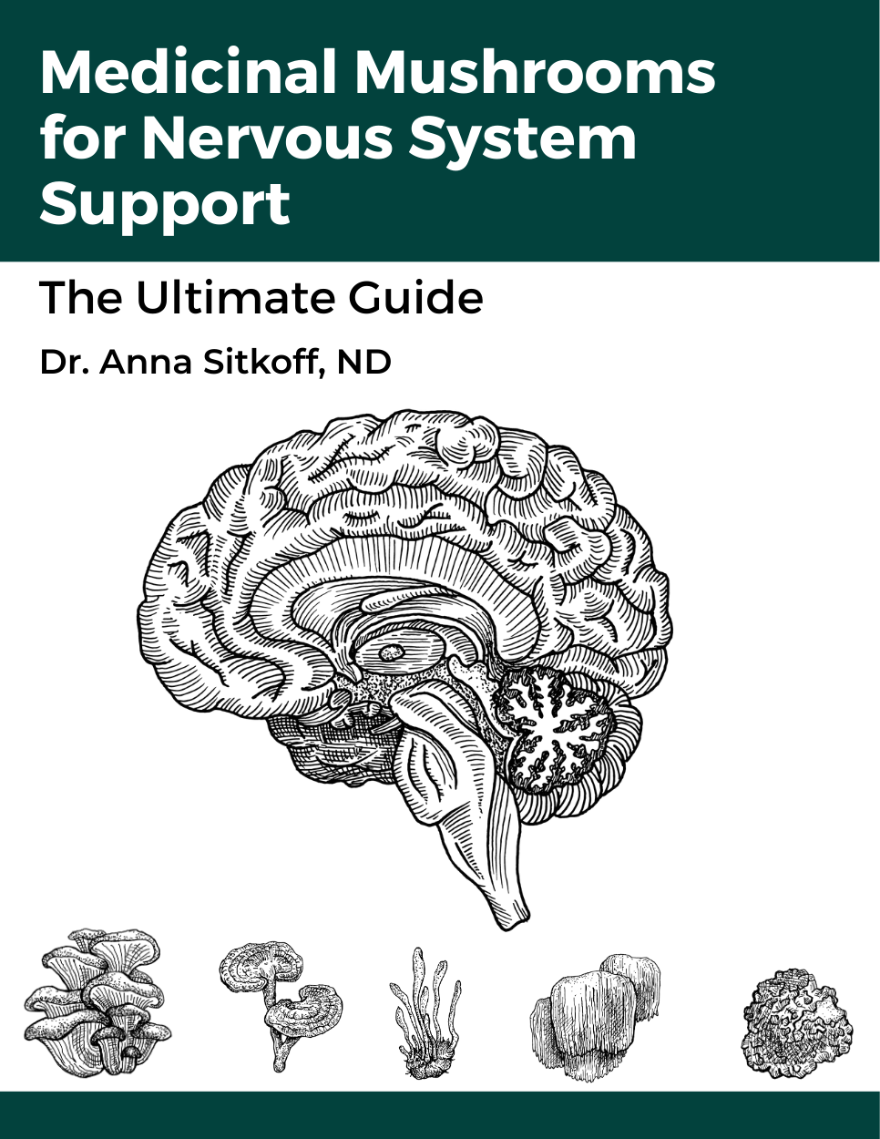 Medicinal Mushrooms & Nervous System Support: The Ultimate Guide | Anna