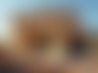 NZ Kitset Homes Guide: The Growing Trend of Kitset Homes in NZ