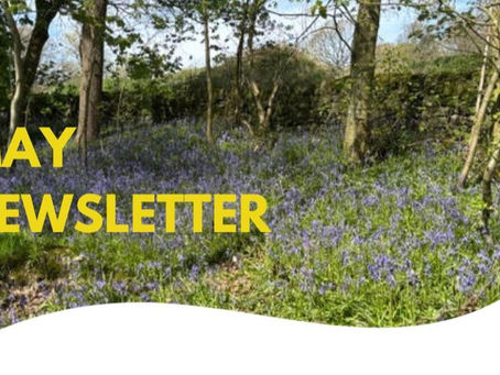 Smiles in Tandem May newsletter