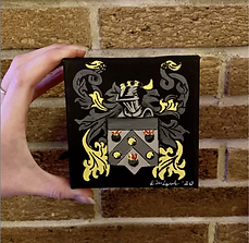 shield.PNG