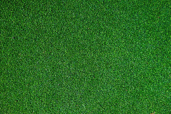 fake grass