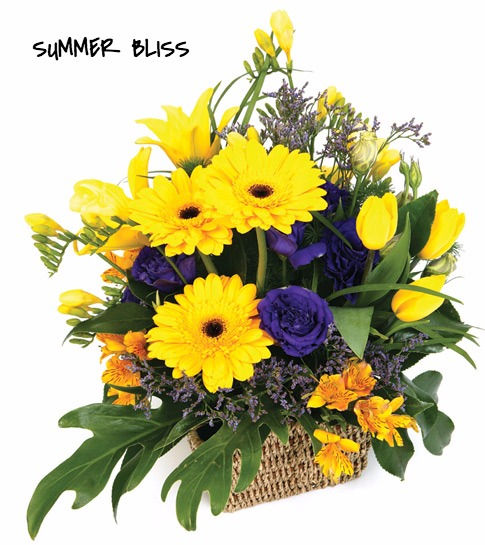 Thumbnail: ARRANGMENTS