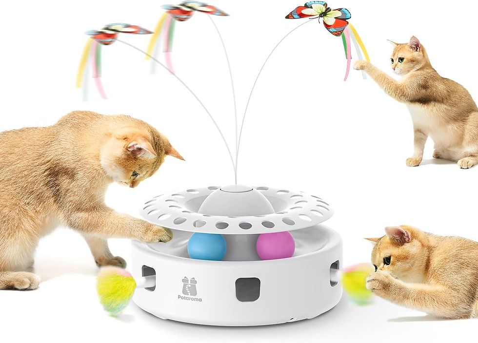 Four orange cats bat at a white Potaroma rotating butterfly toy on a white background.