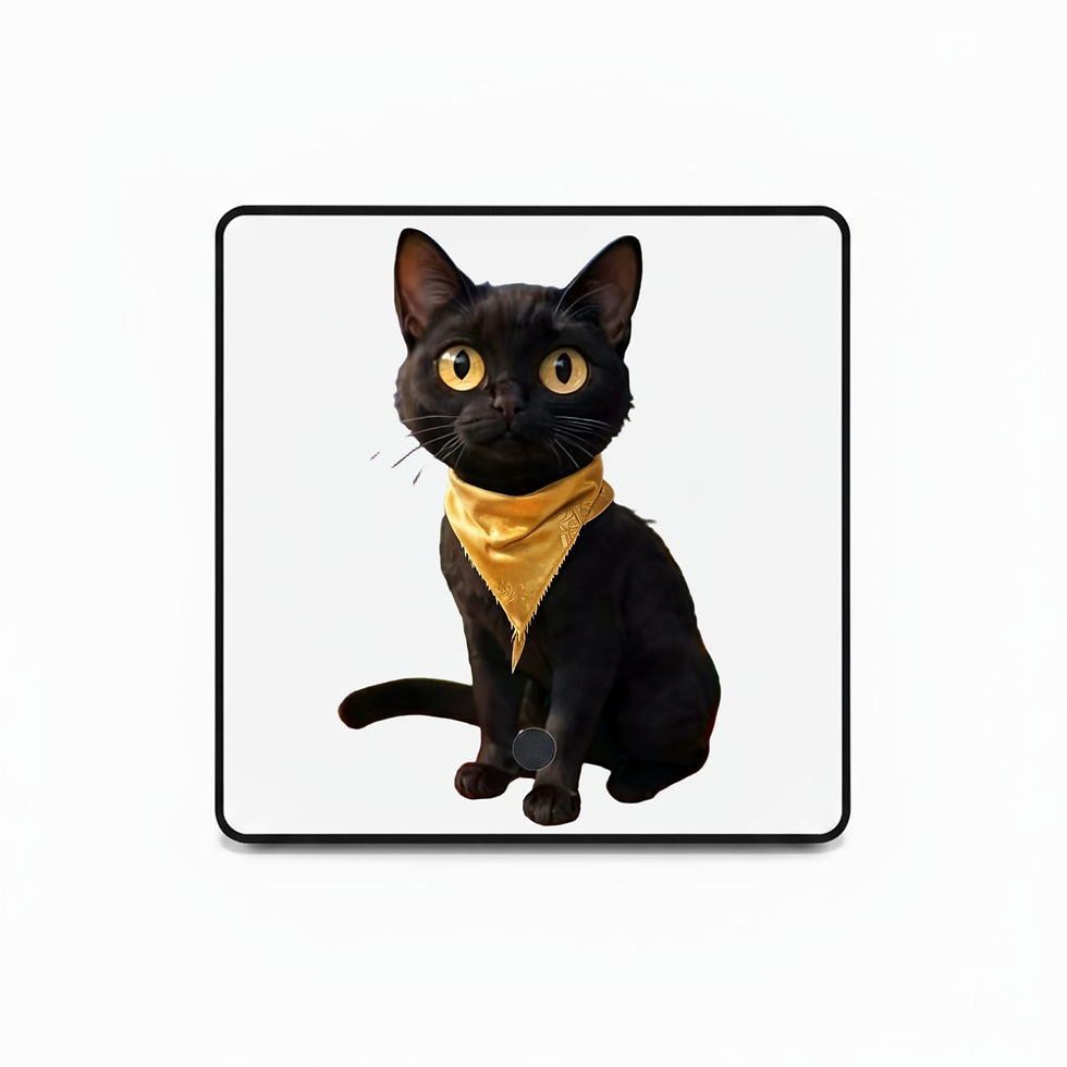 Thumbnail: Mr. Morris Magnetic Music Fridge Sticker