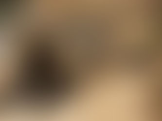 Colocolo cat lying on sandy ground, facing the camera.