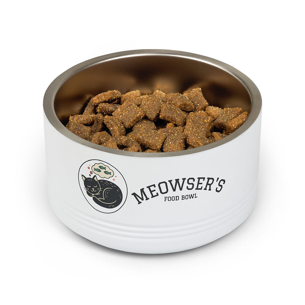 Personalized 18oz stainless steel cat food bowl with custom name engraving, durable and rust-resistant, perfect for wet or dr