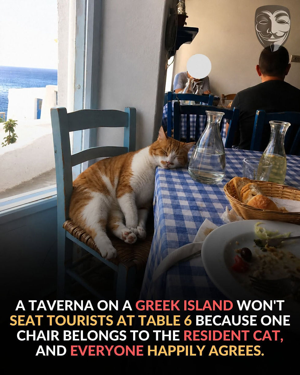 Sleeping orange-and-white cat on a chair at a blue-checkered tavern table by the sea, with patrons and text about table 6