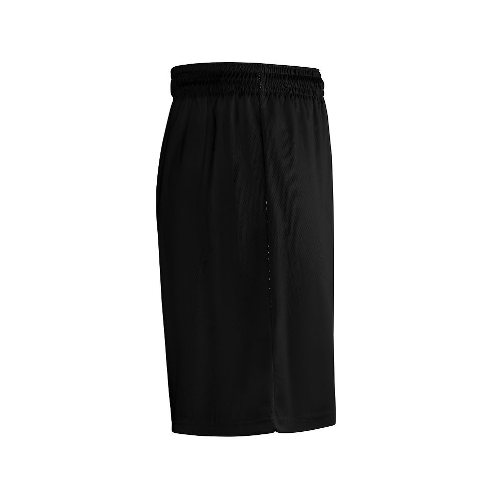 Thumbnail: Men's Fiery Lion Mesh Basketball Shorts