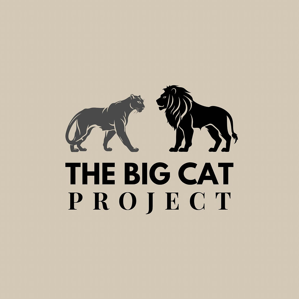 Logo of a black lion and gray panther facing each other above the text THE BIG CAT PROJECT on a beige background.