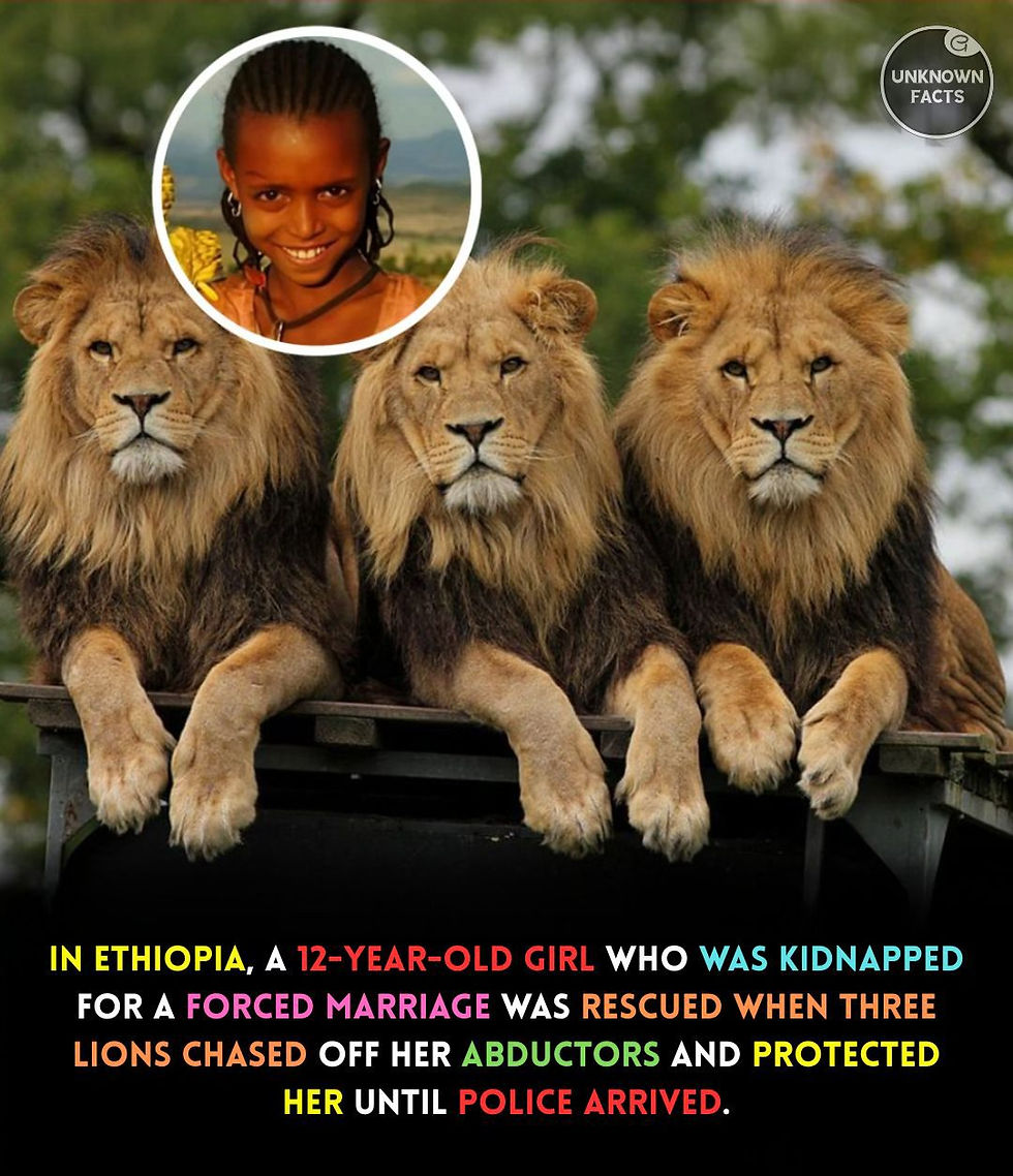 Three lions sit together with a smiling girl's inset portrait; poster text says a kidnapped Ethiopian girl was rescued.