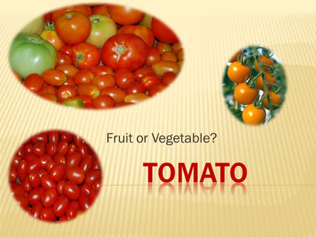 Tomatoes, Peppers, & Eggplant (slideshow)