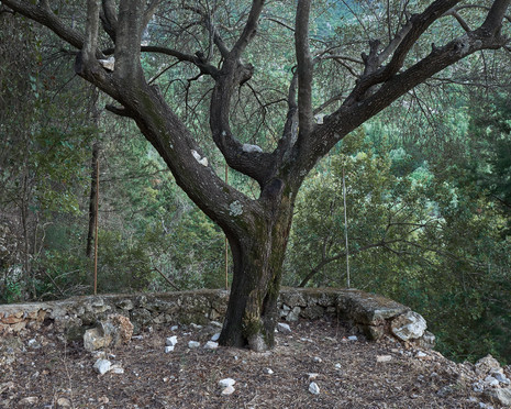 L1100647.jpg