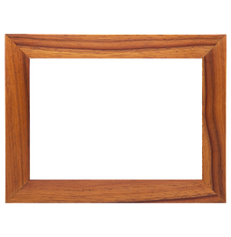Tangarine frame