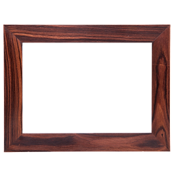 Tangarine frame