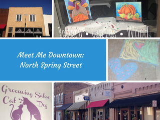 Meet Me Downtown: N. Spring Street on the Move!