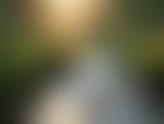 The Importance of Mindfulness in Everyday Life