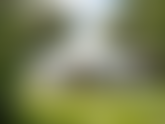 Explore Premium Party Equipment for Hire in London