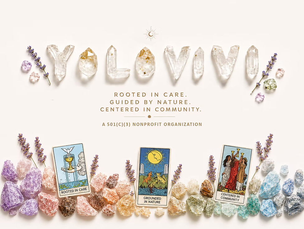 YOLOVIVI_facebook_cover_high_resolution.png
