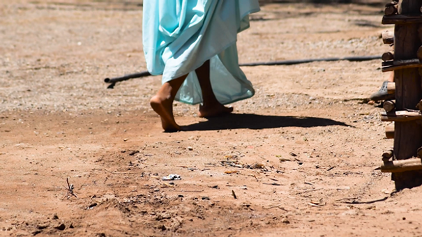 Wayuu.png