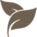 image (10).png