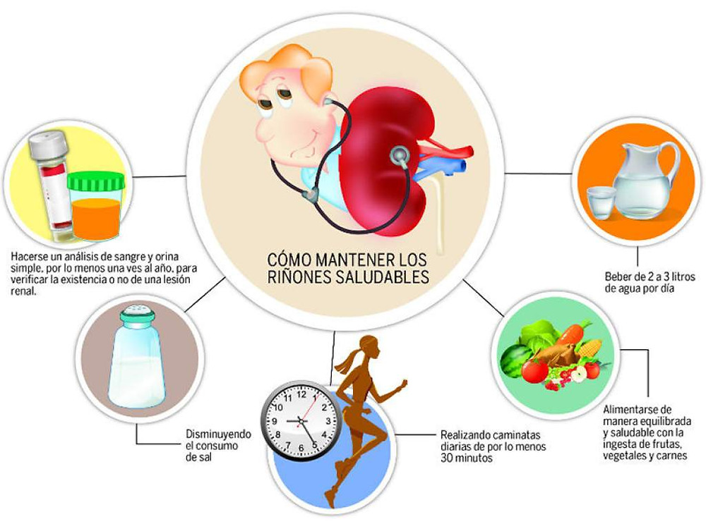 Dieta insuficiencia renal estadio 4