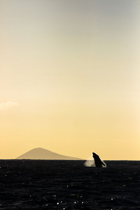 keithketchumphoto (30 of 38).jpgthe craft of wandering, bimini ketchum, photo keith ketchum