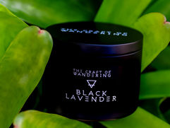 Matte black luxury candle tin black lavender scent in bromeliad leaves