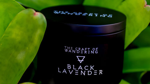 Matte black luxury candle tin black lavender scent in bromeliad leaves