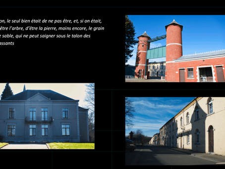 Du noir au gris