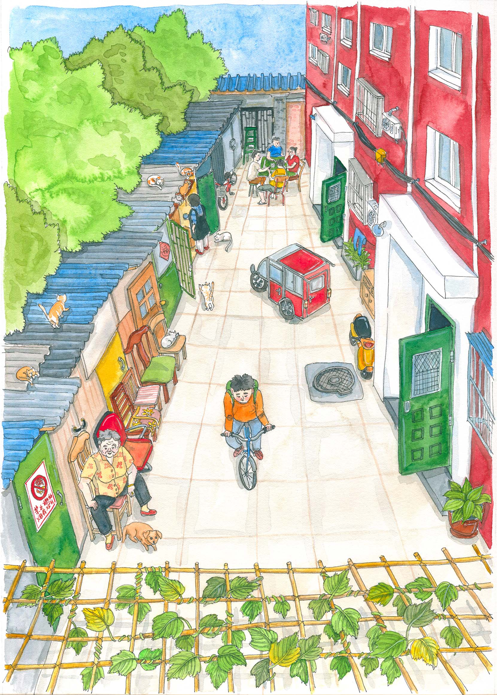 Liuba Draws Backyard Illustration