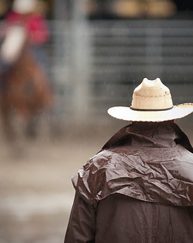Cowboy at the Rodeo