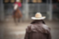 Cowboy at the Rodeo
