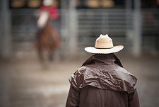 Cowboy In Rain